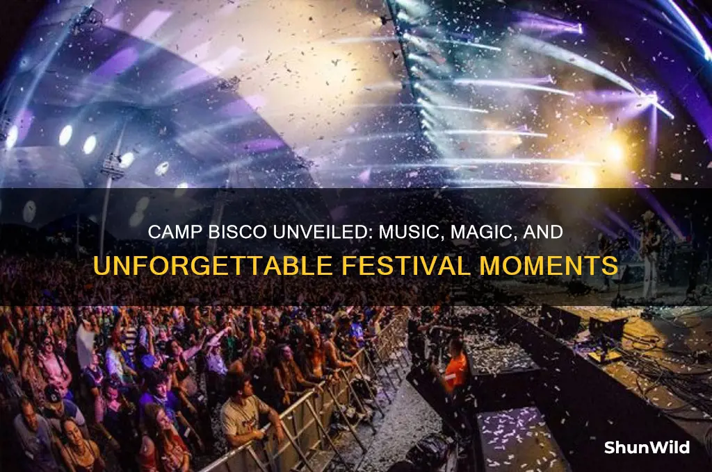 what happens at camp bisco