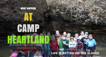 Discover Camp Heartland: Adventures, Growth, and Lasting Memories Unveiled
