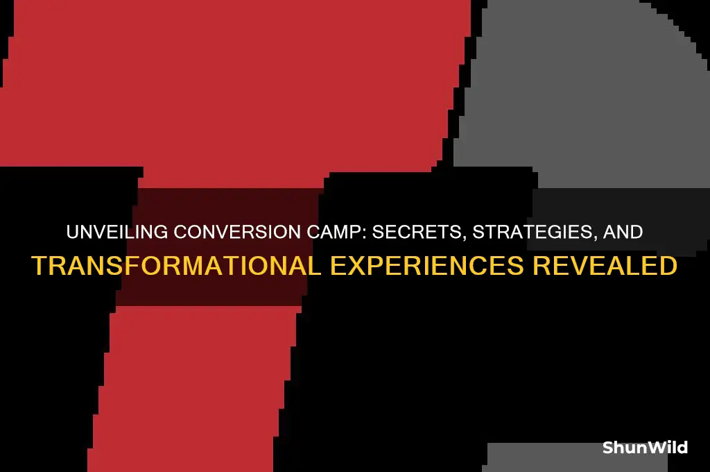 what happens at conversion camp