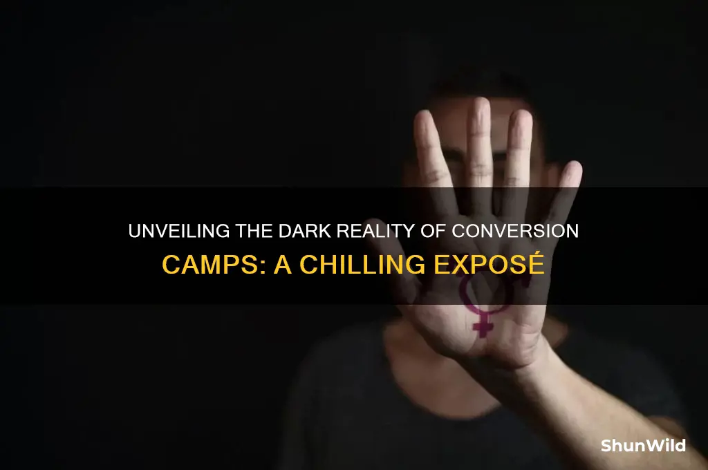what happens at conversion camps