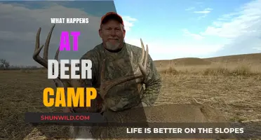 Deer Camp Chronicles: Tales of Hunting, Camaraderie, and Outdoor Adventure
