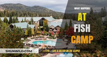 Fish Camp Adventures: Unveiling the Thrills and Traditions of Angler Retreats