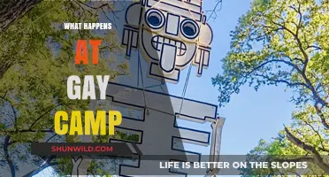 Exploring Identity, Community, and Growth at Gay Summer Camp
