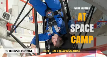 Exploring Space Camp: Training, Missions, and Astronaut Adventures Revealed