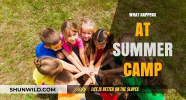 Summer Camp Adventures: Fun, Friendship, and Unforgettable Memories Unveiled