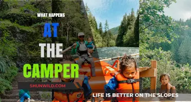 Camper Adventures: Unveiling the Fun, Stories, and Experiences Within