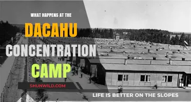 Dachau Concentration Camp: History, Horrors, and Legacy of Survival
