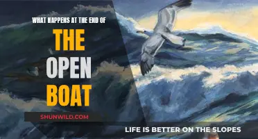 The Open Boat: A Tale of Survival and Resilience