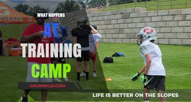 Inside Training Camp: Intense Drills, Team Bonding, and Transformation