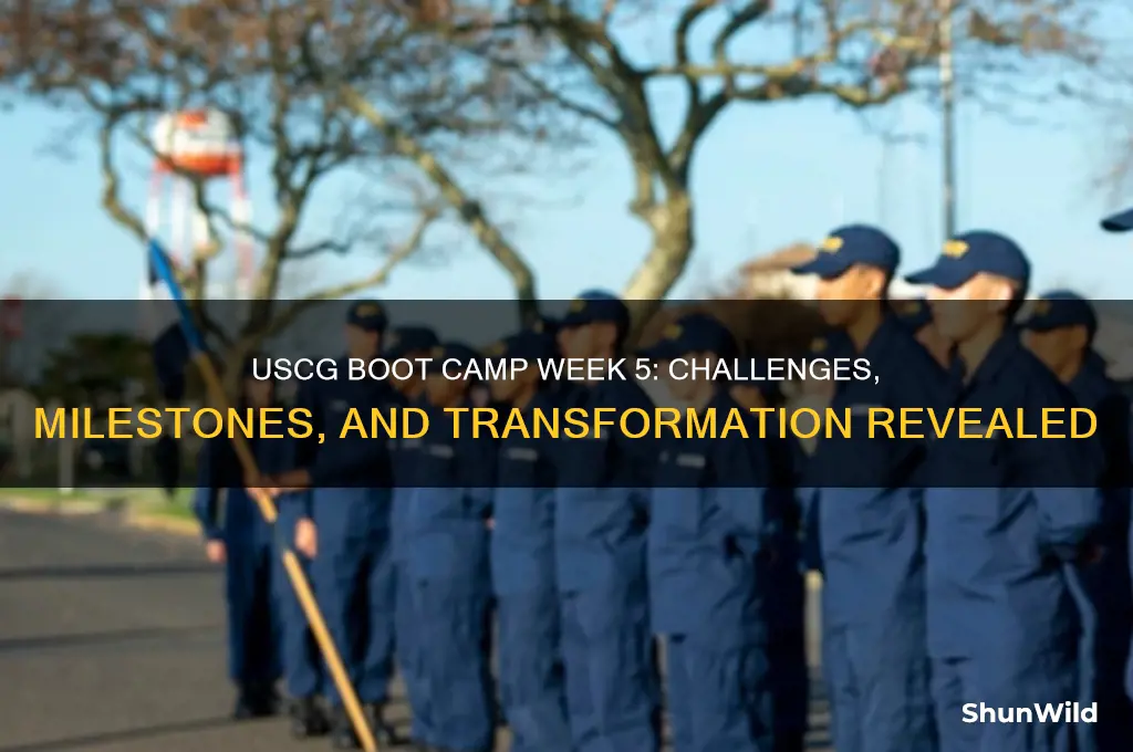 what happens during week 5 of uscg boot camp