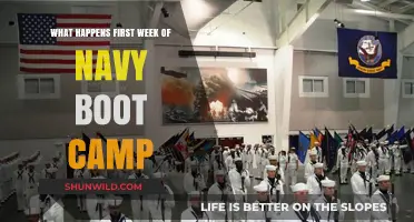 Navy Boot Camp Week 1: Challenges, Transformations, and What to Expect