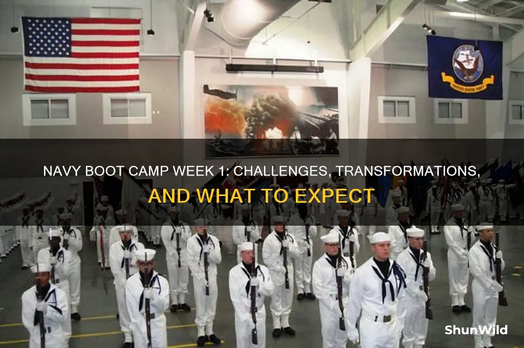 what happens first week of navy boot camp