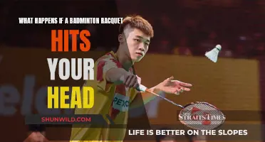 Concussion Concerns: Badminton Racket Head Injuries