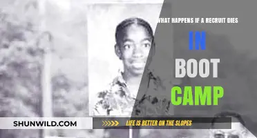 Recruit Death in Boot Camp: Consequences, Procedures, and Support Explained