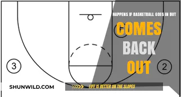 Basketball In and Out: Understanding the Rules and Replay Scenarios