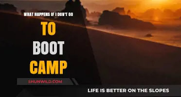 Skipping Boot Camp: Consequences and Alternatives to Consider Seriously