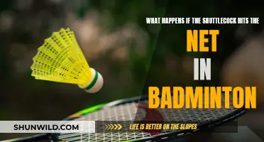 Shuttlecock Net Strike: What Happens Next?