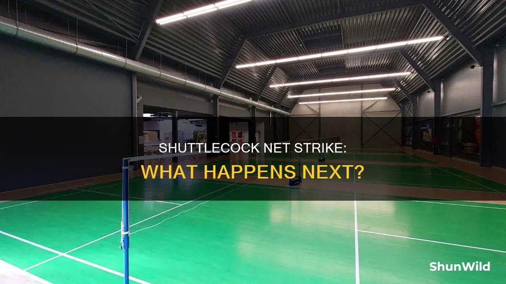 what happens if the shuttlecock hits the net in badminton