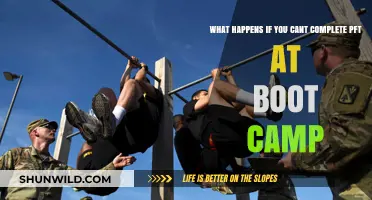 Failing the PFT at Boot Camp: Consequences and Next Steps