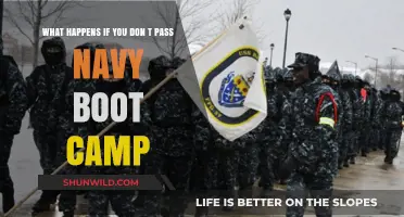 Failing Navy Boot Camp: Consequences, Options, and Next Steps Explained