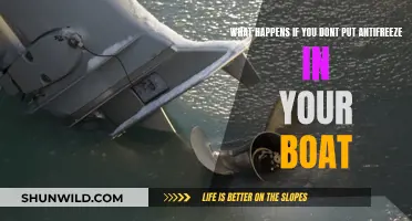 The Dangers of Skipping Antifreeze in Your Boat