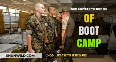 Dropping Out of Boot Camp: Consequences and Alternatives Explained