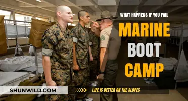 Failing Marine Boot Camp: Consequences, Options, and Next Steps Explained