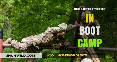 Boot Camp Brawls: Consequences of Fighting During Military Training