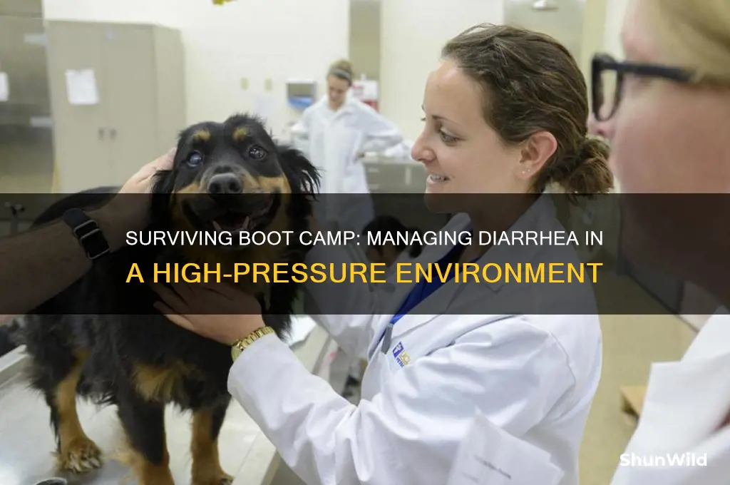 what happens if you get diarrhea at boot camp