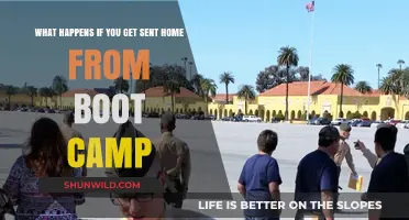 Sent Home from Boot Camp: Consequences, Reasons, and Next Steps
