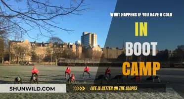 Surviving Boot Camp with a Cold: Challenges, Risks, and Recovery Tips