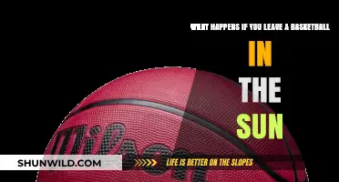 Sun-Baked Basketballs: Effects of Heat Exposure on Performance and Durability