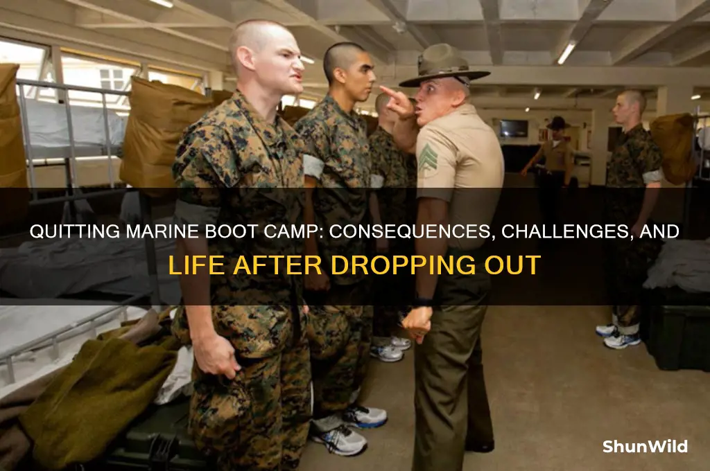 what happens if you quit in marine boot camp