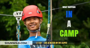 Exploring Camp Life: Activities, Adventures, and Unforgettable Experiences