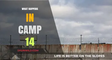 Inside Camp 14: Unveiling Life in North Korea's Notorious Prison