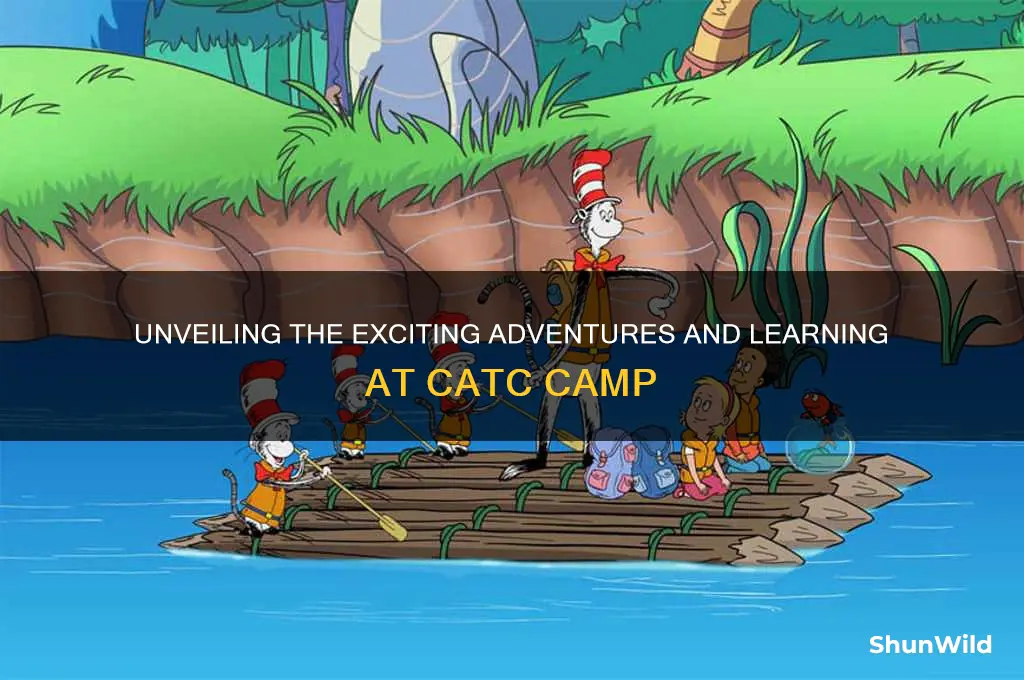 what happens in catc camp