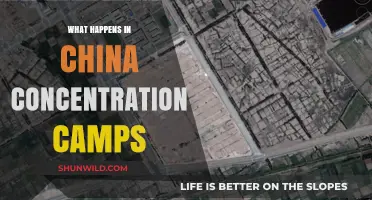 China's Concentration Camps: Uncovering Human Rights Abuses and Global Concerns