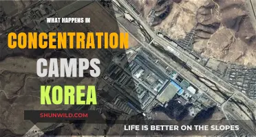Unveiling the Dark History of Korea's Concentration Camps