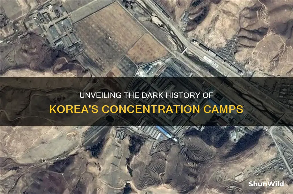 what happens in concentration camps korea