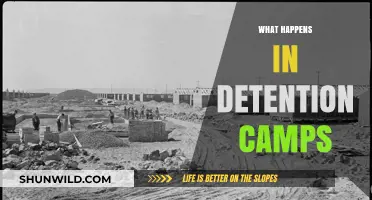 Detention Camps Unveiled: Inside the Harsh Realities of Confinement