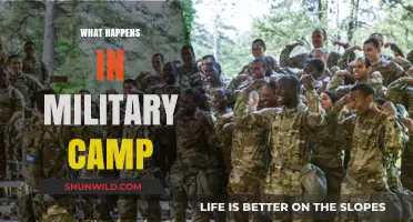 Life in Military Camp: Training, Discipline, and Camaraderie Explained