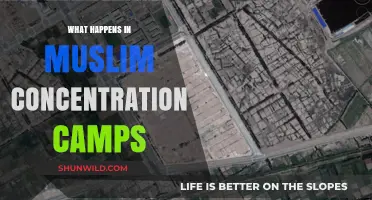 Unveiling the Horrors: Inside Muslim Concentration Camps and Their Impact