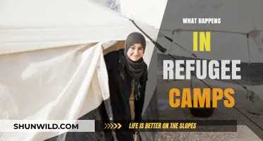 Life in Refugee Camps: Challenges, Resilience, and Hope Explored