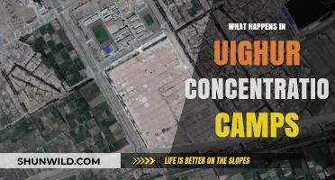 Unveiling the Horrors: Inside China's Uighur Concentration Camps