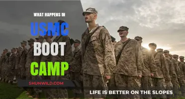 USMC Boot Camp: Unveiling the Rigorous Journey to Becoming a Marine