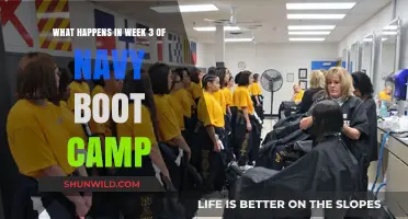 Navy Boot Camp Week 3: Challenges, Growth, and Transformation Unveiled