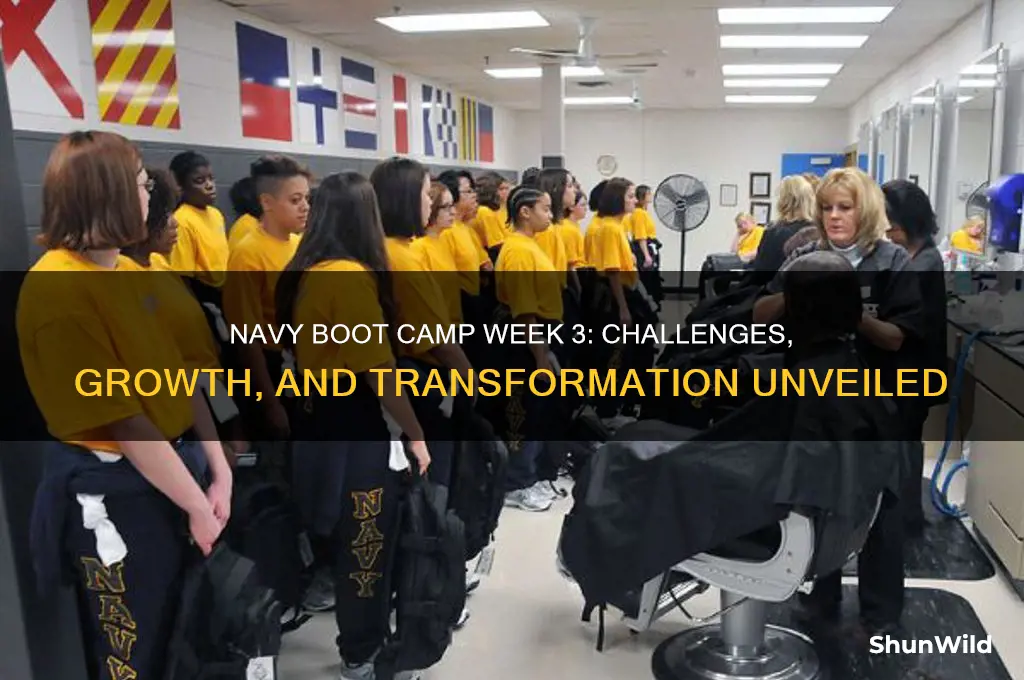 what happens in week 3 of navy boot camp