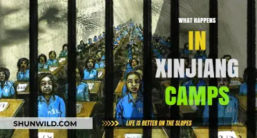 Xinjiang Camps: Unveiling the Hidden Realities and Human Rights Concerns