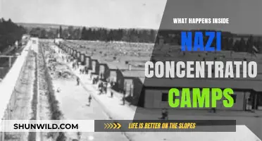 Inside Nazi Concentration Camps: Horrors, Survival, and Historical Legacy