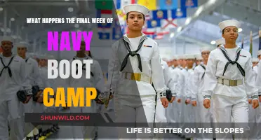 Navy Boot Camp's Final Week: Challenges, Triumphs, and Transformation Revealed